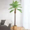 Northlight 8' Unlit Artificial Potted Phoenix Palm Tree