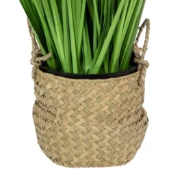 Northlight 28" Artificial Onion Grass Plant In Basket -Home Decor GUEST abfcb17d 44f7 42f1 83c7 82b2a82022e4