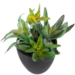 Northlight 11" Mixed Succulent Plant Artificial Potted Arrangement - Green/Black -Home Decor GUEST afc065c0 70f6 4d15 8943 f3ab2c740419