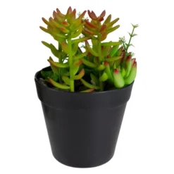 Northlight 8" Mixed Succulent Artificial Plant Arrangement In Pot - Green/Red -Home Decor GUEST b1b550ad ba29 4764 8448 caf7bfb8aef9