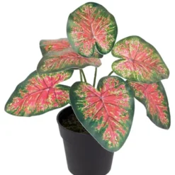 Northlight 8" Rohdea Spring Floral Artificial Potted Plant 8 Northlight 8" Rohdea Spring Floral Artificial Potted Plant -Home Decor GUEST b1cab5ab 7e59 4866 98ce 0498f5f5e3cb