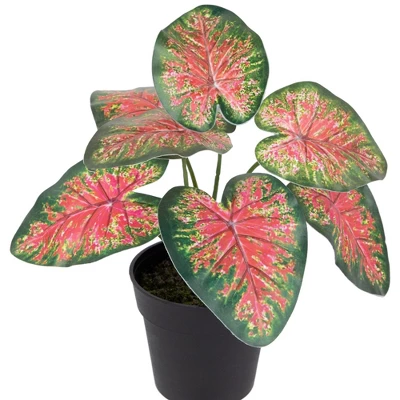 Northlight 8" Rohdea Spring Floral Artificial Potted Plant 4 Northlight 8" Rohdea Spring Floral Artificial Potted Plant - Image 4