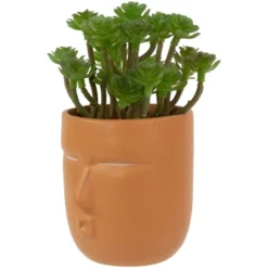 Northlight 5.5" Mini Artificial Succulent In Face Planter Pot -Home Decor GUEST bb4aa3e4 9db6 4432 b405 eff5c564a597
