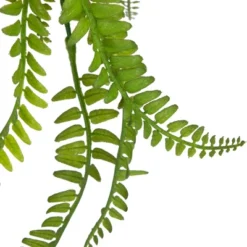 Northlight 18" Artificial Fern Plant With Moss Ball And Hanging Jute Cord -Home Decor GUEST bb6edb2d bc56 4974 8131 837b66228aaf