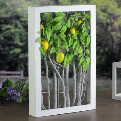 Northlight 18.5" White Birch Branch Lemon Tree Rustic Wooden Frame Decoration 2 Northlight 18.5" White Birch Branch Lemon Tree Rustic Wooden Frame Decoration - Image 2