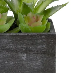 Northlight 10" Artificial Mixed Succulent Plants In A Rectangular Planter -Home Decor GUEST be6fa5e7 6760 48ab a8b5 3879443f26af