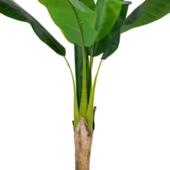 Northlight 4' Artificial Tropical Banana Tree In A Clay Pot -Home Decor GUEST bfe0e21a a17b 41c1 ba37 5b04cb6342a0