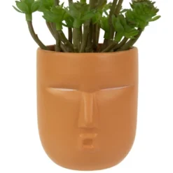Northlight 5.5" Mini Artificial Succulent In Face Planter Pot -Home Decor GUEST c1f98d74 5ae9 4df7 a367 866022fcc6ce