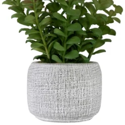 Northlight 12" Artificial Privet Plant In Gray Stone Pot -Home Decor GUEST cab301ca 845c 42e6 9c2d e82a9148f894