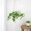 Northlight 23.75" Ivy Artificial Hanging Spring Floral Bush - Green/White