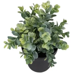 Northlight 10" Green Artificial Melia Azedarach Plant In Black Pot -Home Decor GUEST cbee1d85 b563 4695 bf0c ca8d74ab2a94