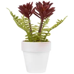 Northlight Succulent Fern In Ceramic Pot - 8" -Home Decor GUEST cc11b982 6a2a 4e89 be55 d00a4ba03eb5