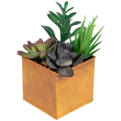 Northlight 7" Mixed Succulent Artificial Potted Arrangement - Green/Black -Home Decor GUEST cdfa90ba 2237 4d80 bbbe 13da0d052b24