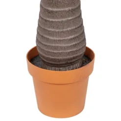 Northlight 8' Unlit Artificial Potted Phoenix Palm Tree -Home Decor GUEST cef16ac3 1a52 4e49 870b 69dca63ebd5c