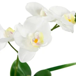 Northlight 12" Orchid And Succulents Artificial Potted Flower Arrangement - Green/White -Home Decor GUEST cf8ab7b7 7be1 4ae3 a3b8 18d28e93fa42