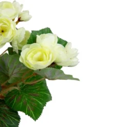 Northlight 11" Cream Potted Silk Begonia Spring Artificial Floral Arrangement -Home Decor GUEST d1005576 56d8 4ae0 b2cb f58f2f7b439f