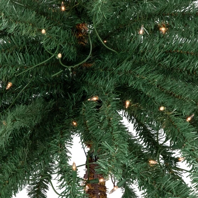 Northlight 6' Pre-Lit Artificial Tropical Outdoor Patio Palm Tree - Clear Lights 2 Northlight 6' Pre-Lit Artificial Tropical Outdoor Patio Palm Tree - Clear Lights - Image 2