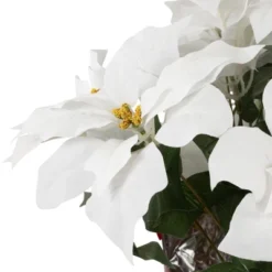 Northlight 22" White Artificial Christmas Poinsettia Flowers With Red Wrapped Base 9 Northlight 22" White Artificial Christmas Poinsettia Flowers With Red Wrapped Base -Home Decor GUEST d26babd3 94a5 4d30 aec4 93fd4590dc8a