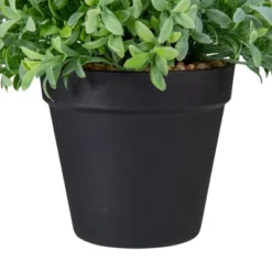 Northlight 7.5" Potted Green Artificial Boxwood Plant -Home Decor GUEST d3c30343 9afc 4a38 b3e7 f1b1e8cdbf4b