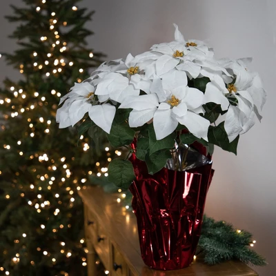 Northlight 22" White Artificial Christmas Poinsettia Flowers With Red Wrapped Base 1 Northlight 22" White Artificial Christmas Poinsettia Flowers With Red Wrapped Base