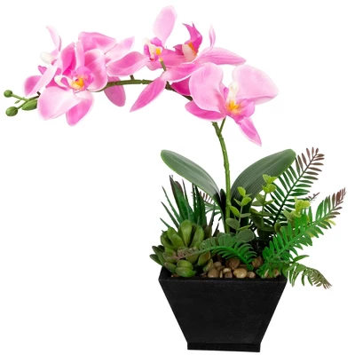 Northlight 13" Orchid With Succulent Artificial Potted Plant - Pink 2 Northlight 13" Orchid With Succulent Artificial Potted Plant - Pink - Image 2