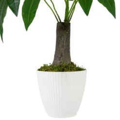Northlight 18.5" Artificial Guiana Chestnut Plant In White Pot 7 Northlight 18.5" Artificial Guiana Chestnut Plant In White Pot -Home Decor GUEST da501613 743a 46ed 956a 71b001639a45