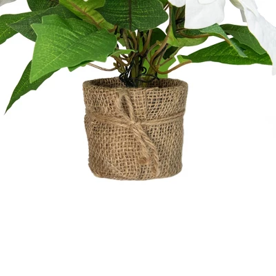 Northlight 11.75" LED Artificial White Poinsettia Potted Plant - Clear Lights 1 Northlight 11.75" LED Artificial White Poinsettia Potted Plant - Clear Lights