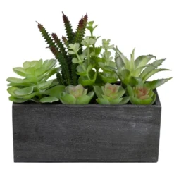 Northlight 10" Artificial Mixed Succulent Plants In A Rectangular Planter -Home Decor GUEST dda60922 fc5b 422d a2aa 5ab6a9e1dcdc