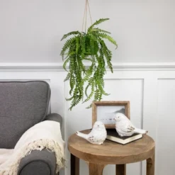 Northlight 18" Artificial Fern Plant With Moss Ball And Hanging Jute Cord