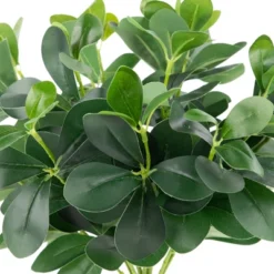 Northlight 18" Two-Tone Polyscias Artificial Spring Floral Bush - Green -Home Decor GUEST df4952d1 58ea 407a b7ba b7403aa1714d