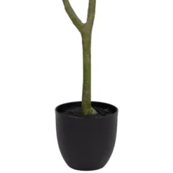 Northlight 4' Artificial Unbraided Potted Green Money Tree -Home Decor GUEST e07a198c 4d81 44ed 9a41 88abf5d8b9f8