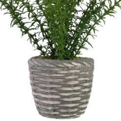 Northlight Real Touch™ Artificial Thyme Plant In Gray Ceramic Pot - 15" -Home Decor GUEST e0807bc0 cbcc 4971 ab81 0f3db54cb1a5
