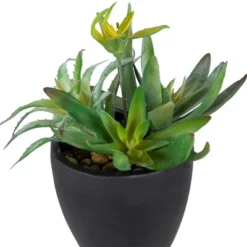 Northlight 11" Mixed Succulent Plant Artificial Potted Arrangement - Green/Black -Home Decor GUEST ea8ceb19 0844 47e6 9fac 250a522dcc23