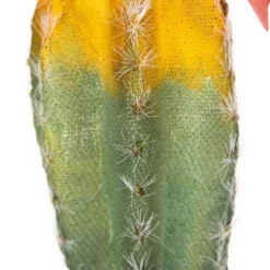 Northlight 8.5" Flowering Cactus Artificial Plant Table Top Decoration - Green/Yellow 18 Northlight 8.5" Flowering Cactus Artificial Plant Table Top Decoration - Green/Yellow -Home Decor GUEST ec590b5a d5b2 408d 8f2e efdbf0433c1c