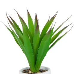 Northlight 13.5" Agave Succulent Artificial Potted Plant - Green/White -Home Decor GUEST ee74768c 0af4 4828 a46f f5639d500c47