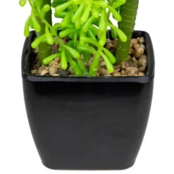 Northlight 6" Potted Green Artificial Succulent Arrangement -Home Decor GUEST ef30f800 77f8 4321 8304 990ee01bb64a