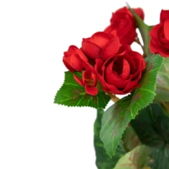 Northlight 11" Red Potted Silk Begonia Spring Artificial Floral Arrangement -Home Decor GUEST f12d5d93 398b 477b ac3f b04d03607a1a