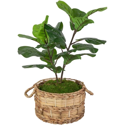 Northlight 26" Dark Green Artificial Potted Fiddle-Leaf Fig Plant 2 Northlight 26" Dark Green Artificial Potted Fiddle-Leaf Fig Plant - Image 2