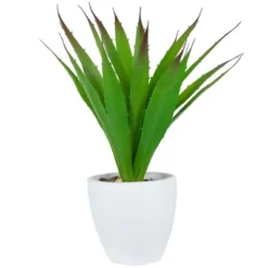 Northlight 13.5" Agave Succulent Artificial Potted Plant - Green/White -Home Decor GUEST f6b41257 87b8 4810 b520 2addad980892