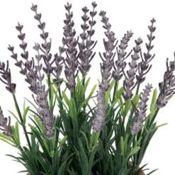 Northlight 10" Artificial Lavender And Leaves In Weathered Pot -Home Decor GUEST f9b847f6 2b3d 4874 9647 fe35ba12d9b2