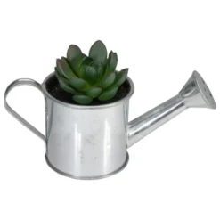 Northlight 4.25" Aloe Vera Succulent In Watering Can Artificial Potted Plant - Green/Silver -Home Decor GUEST f9fc4478 b442 45c4 83cc 1bec92793a7d