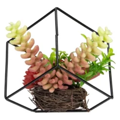 Northlight 5.5" Artificial Succulent Arrangement In Black Metal Wire Frame -Home Decor GUEST fa240385 37e0 4a19 bb6f 522d160b9dc2