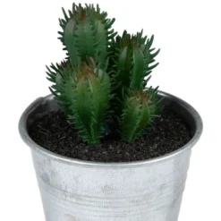 Northlight 3.5" Tropical Cactus In Tin Pot Artificial Potted Plant - Green/Red 10 Northlight 3.5" Tropical Cactus In Tin Pot Artificial Potted Plant - Green/Red -Home Decor GUEST fb89397b 900c 4315 abd4 42f62ce20d1d