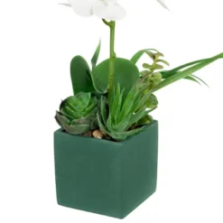 Northlight 12" Orchid And Succulents Artificial Potted Flower Arrangement - Green/White -Home Decor GUEST fcc64645 0b84 4ef3 9f10 2d306c08e82e