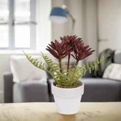 Northlight Succulent Fern In Ceramic Pot - 8" -Home Decor GUEST fdaef0ac a5cc 4d3c a551 007ea98c5f24