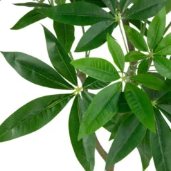 Northlight 4' Artificial Unbraided Potted Green Money Tree -Home Decor GUEST fec5ce88 9406 4d1b a61d 799b0ec18f35